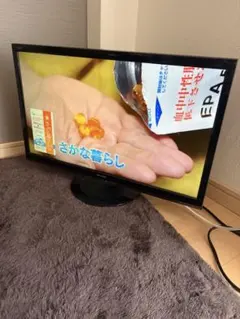 シャープ 液晶テレビ AQUOS LC-24P5 2018年製 - メルカリ