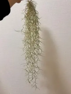 mie☆様 リクエスト 4点 まとめ商品