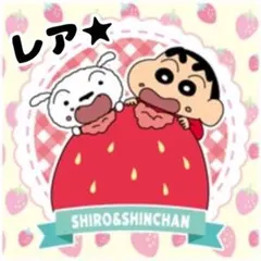 【12/★】新品★クレヨンしんちゃん【シロ＆しんちゃん】チョコビ★キラキラシール