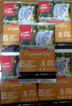 Item thumbnail for item e6d92133-b364-40bb-ae64-42d122b9c421