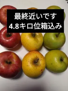 栽培中農薬不使用 弘前産 りんご詰め合わせ 4キロ位梱包材込み - メルカリ