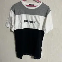 Item thumbnail for item af57f777-dd4f-4f13-8f7f-948b6876ddd0