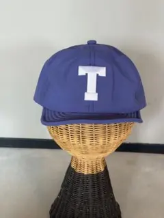 ザ・ノース・フェイス GTXキャップ ユニセックス パープル/ブルー Tロゴ