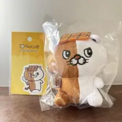 パリパリチキンカレーニャ 2点セット