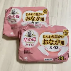 Item thumbnail for item 17b97107-a986-48a3-acf6-487c293443a2