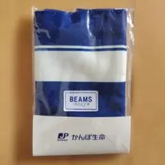 《未開封》かんぽ生命×BEAMS　ランチトートバック