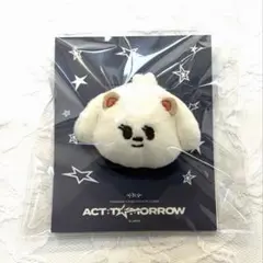 初期　バムグッ　プルバトゥ 2026年最新】txt プルバトゥ バムグッの人気アイテム - メルカリ