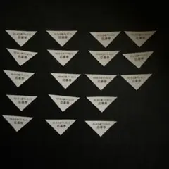 INI 2nd写真集 Viva la vita 応募券×18枚