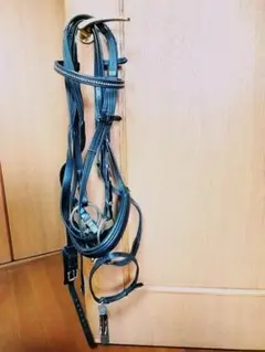 Item thumbnail for item 0e6cb552-0dce-4358-98c5-50bc9289b729