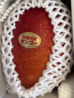 沖縄マンゴー　冷蔵保管 大玉のサムネイル