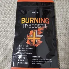 WADS BURNING HYBOOST+ 240粒のサムネイル