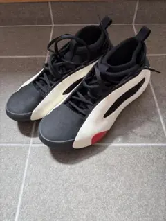 adidas ハーデン8 28cm バスケットボールシューズのサムネイル