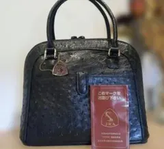美品/JRA/オーストリッチ⭐️ハンドバッグ 本革 黒 南京錠 カデナ 金具 