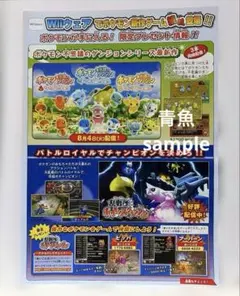 2009 Wiiウェア ポケモン チラシ 不思議のダンジョン - メルカリ