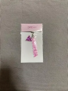 SEVENTEEN ジョシュアAcrylic Keyring