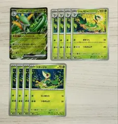 ジャローダex ジャノビー　ツタージャ　進化ライン　まとめ売り　ブラックボルト