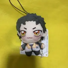 Re:ゼロから始める異世界生活 リゼロ ちょぴぬいぷち スバル