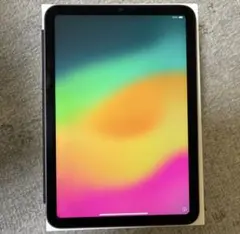 美品 Apple iPadmini64GB スペースグレー 本体 カバー付き