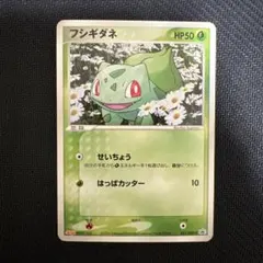 PSA10 フシギダネ　明治　めいじ　meiji 051/ADV-P 2026年最新】ポケモンカード フシギダネ 051/ADV-P 明治 meijiの人気