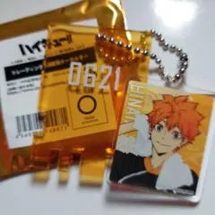 ハイキュー!!極楽湯コラボ日向翔陽 銭湯錠風アクリルキーホルダー
