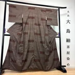 美品【本場大島紬】最高級 泥染 縞大島 証紙付き 正絹 ガード加工済 阿