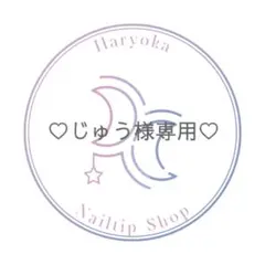 ♡じゅう様専用♡ネイルチップ