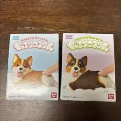 もっちりころりん おいぬ ぷりぷりコーギー　2個セット