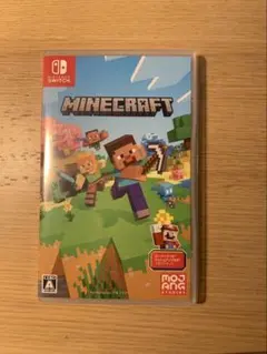 Minecraft Nintendo Switch版