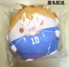 ハイキュー　日向翔陽　C賞　くじメイト　ぬいくじ　ふわコロりん　Mサイズ