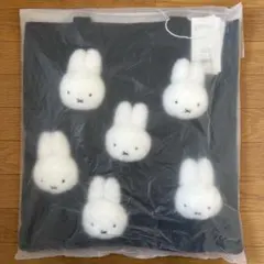 Item thumbnail for item 0a1e347b-0b64-442d-939e-f86296ad60fd