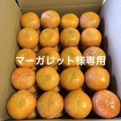 マーガレット様専用岐阜県産すなみ柿160g 以下川島農園