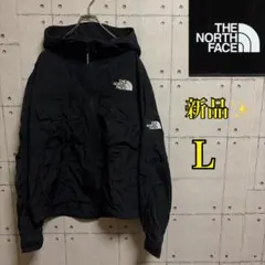 新品、海外限定】ノースフェイス ナイロンジャケット 薄手 アイス 