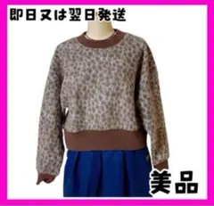 【超美品】ニットプルオーバー ブラウン　ヒョウ柄　レオパード　ジーナシス