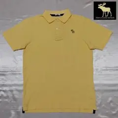 【Abercrombie＆Fitch】アバクロの刺繍ロゴ入りポロシャツ（L）