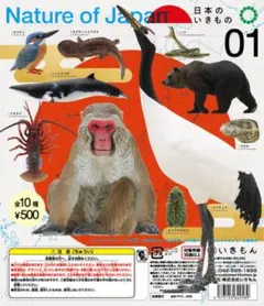 Nature of Japan カプセルトイ 01 日本のいきもの