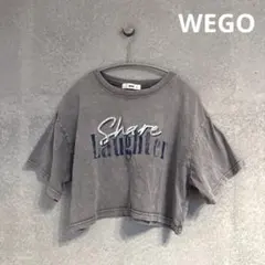 WEGO Tシャツ　グレー　ショート丈クロップド丈