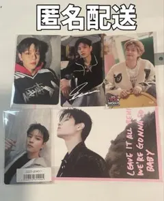 即購入〇 スンミン 特典トレカ ソニミュ KARMA Doit