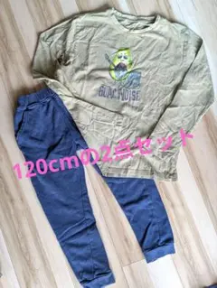 長袖Tシャツとパンツセット 120cm 2点セット