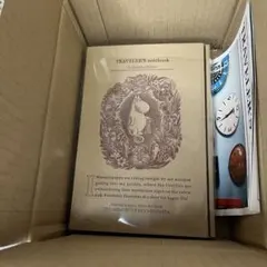 トラベラーズノート 限定セット MOOMIN パパの思い出 ムーミン TF 新品