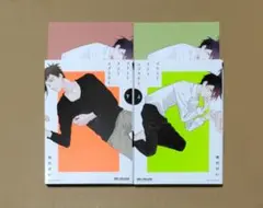 市川けい　ブライトライトスプラウト　上下