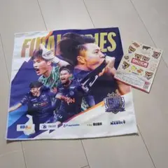 サンフレッチェ広島 スポーツ選手