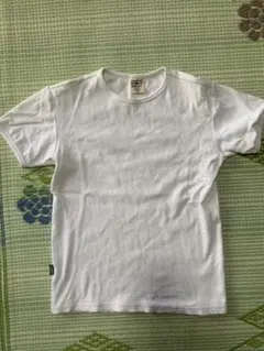 AVIREX U.S.A. リブTシャツ ホワイト Sサイズ