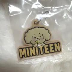 MINITEEN めじるしアクセサリー ドギョム
