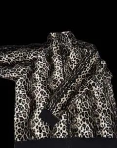 セットアップ ギャル