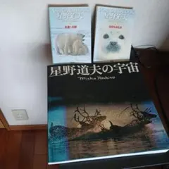 Item thumbnail for item 788fb710-4665-45a9-bd57-13ff1c9c47d7