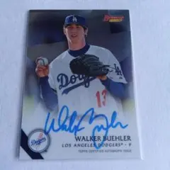 Item thumbnail for item 1d1515af-1083-41af-b225-de28fbb73fba