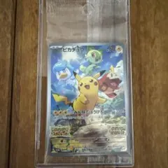 ピカチュウ スカバイ プロモ 未開封