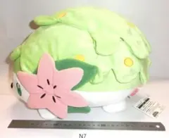 ポケモンだいすきクラブ シェイミ ランドフォルム ぬいぐるみ シェイミ 非売品