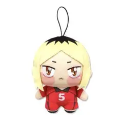ハイキュー!! ちょぴぬい2 孤爪研磨