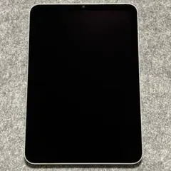 バッテリー良好95%！iPad mini 256GB Wi-Fi スターライト